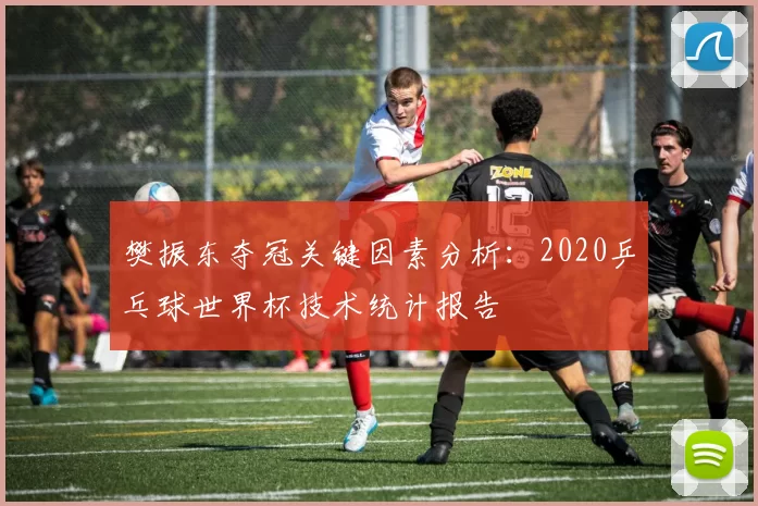 樊振东夺冠关键因素分析：2020乒乓球世界杯技术统计报告
