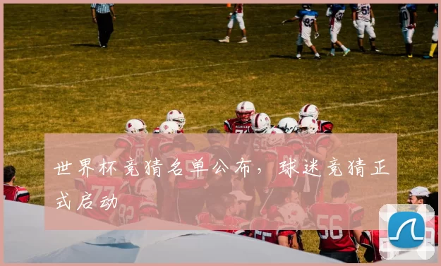 世界杯竞猜名单公布,球迷竞猜正式启动