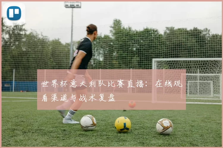 世界杯意大利队比赛直播:在线观看渠道与战术复盘