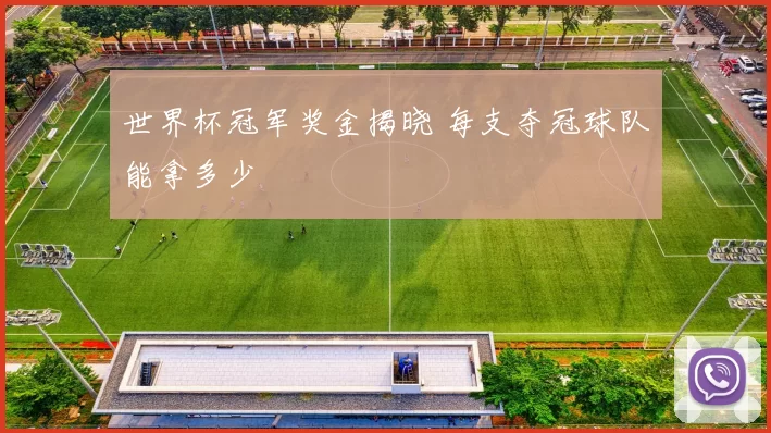 世界杯冠军奖金揭晓 每支夺冠球队能拿多少
