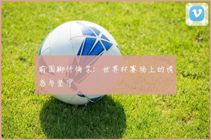 前国脚忏悔录：世界杯赛场上的诱惑与坚守