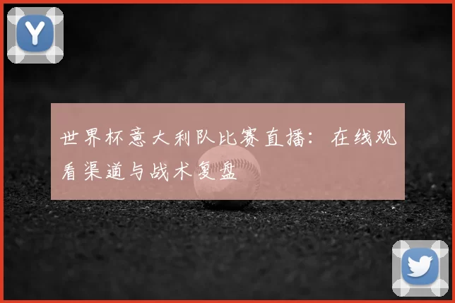 世界杯意大利队比赛直播：在线观看渠道与战术复盘