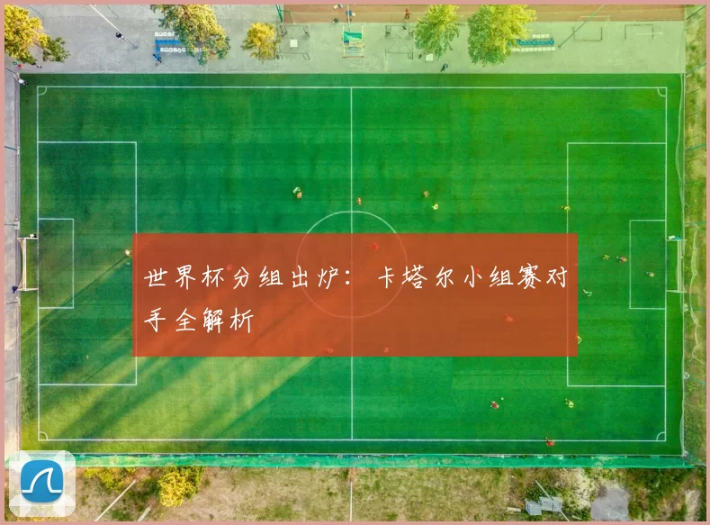 世界杯分组出炉：卡塔尔小组赛对手全解析