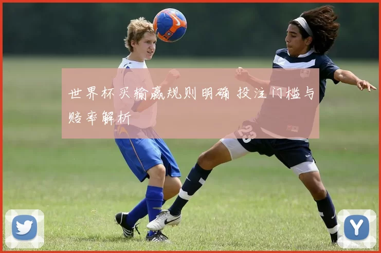 世界杯买输赢规则明确 投注门槛与赔率解析