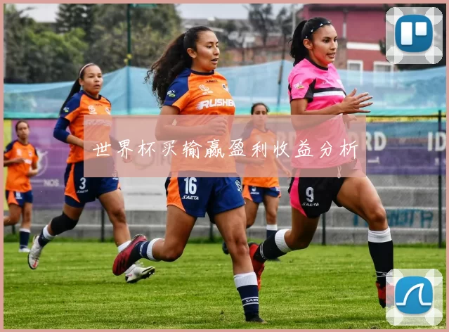 世界杯买输赢盈利收益分析