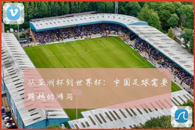 从亚洲杯到世界杯:中国足球需要跨越的鸿沟