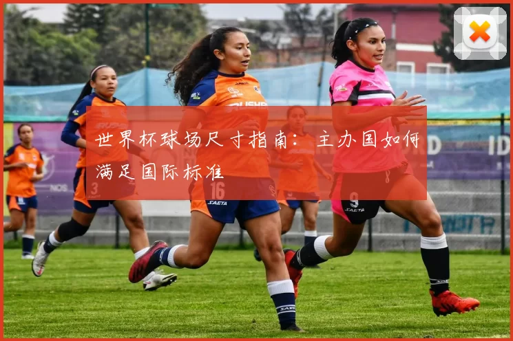 世界杯球场尺寸指南:主办国如何满足国际标准