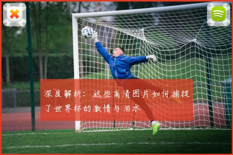 深度解析：这些高清图片如何捕捉了世界杯的激情与泪水